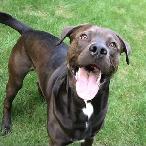 Meet your Posher, Brian